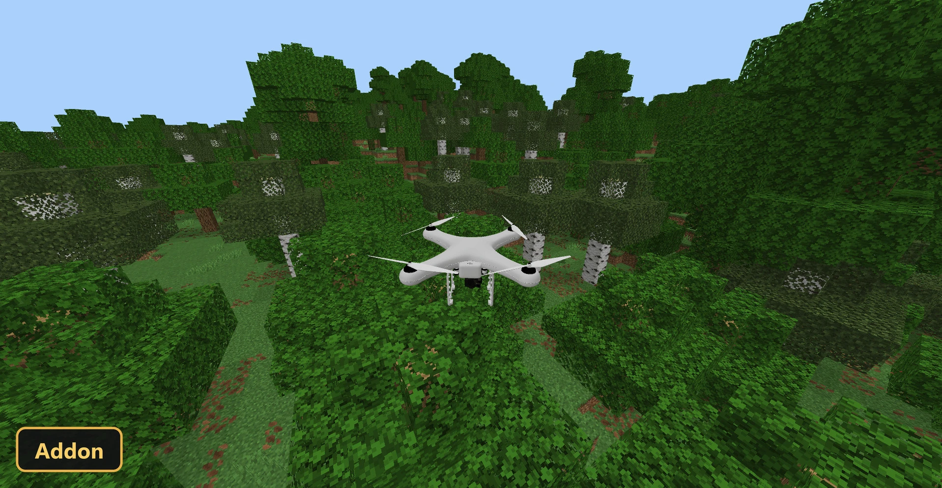 white drone flying above a birch and oak forest, daytime