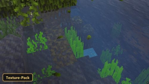 clear water, underwater plants, and dark rocks in a lake