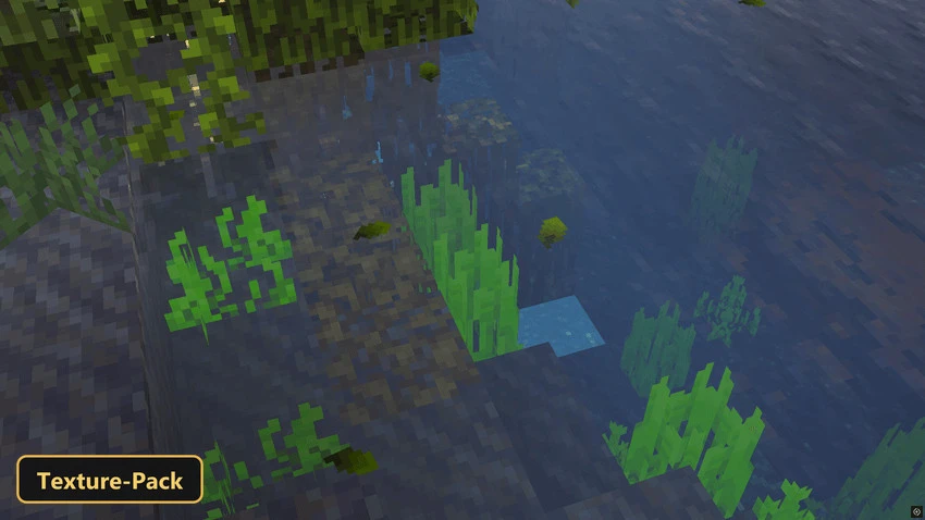 clear water, underwater plants, and dark rocks in a lake