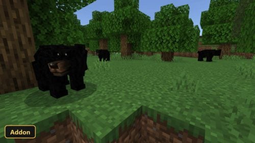 black bears in a forest clearing on a sunny day