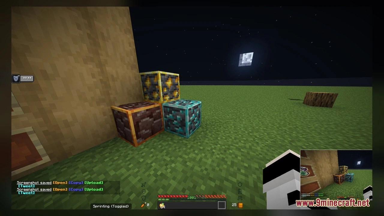 Diamond SMP Essentials Model Screenshot 2