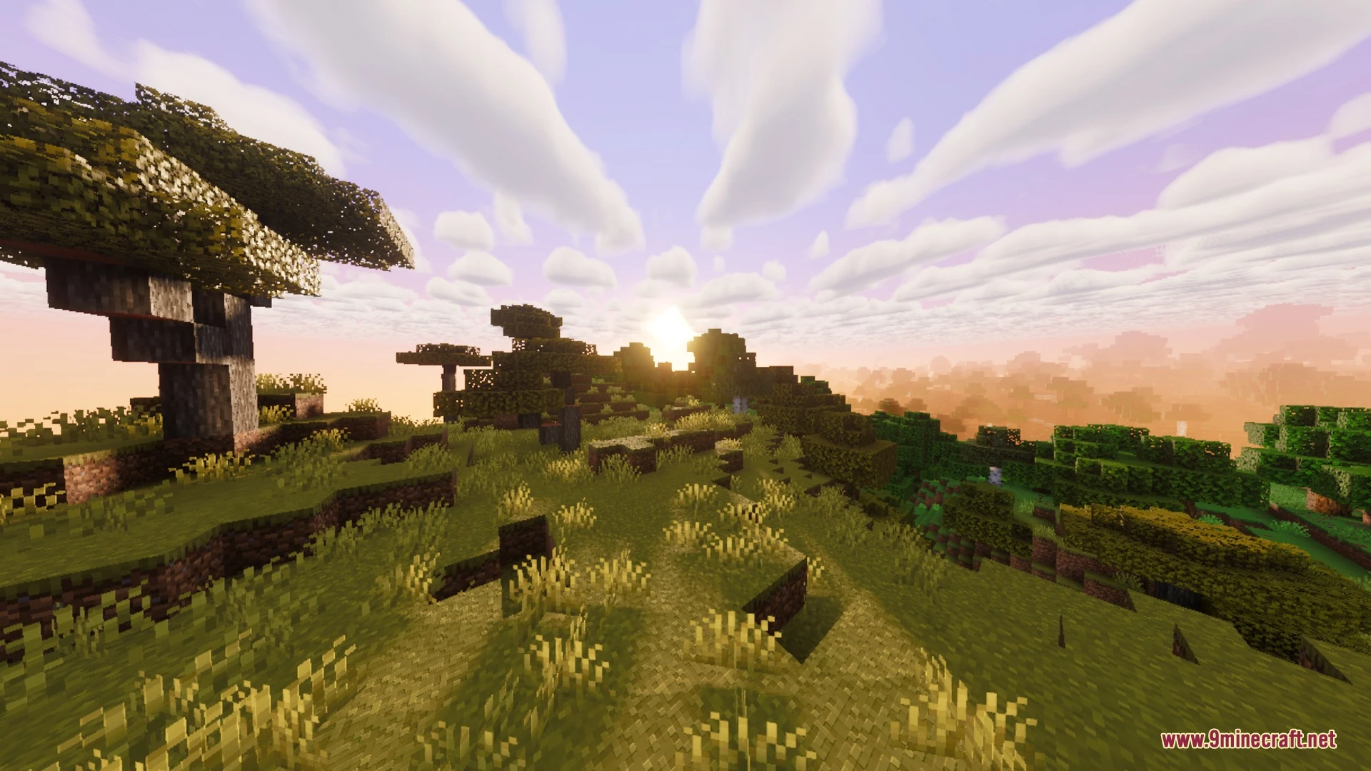 BSLB Dreamy Visuals Shader (26.x) – Volumetric God Rays and Clear Caustic Water Screenshot 10 BSLB Dreamy Visuals Shader (26.x) – Volumetric God Rays and Clear Caustic Water Screenshot 10