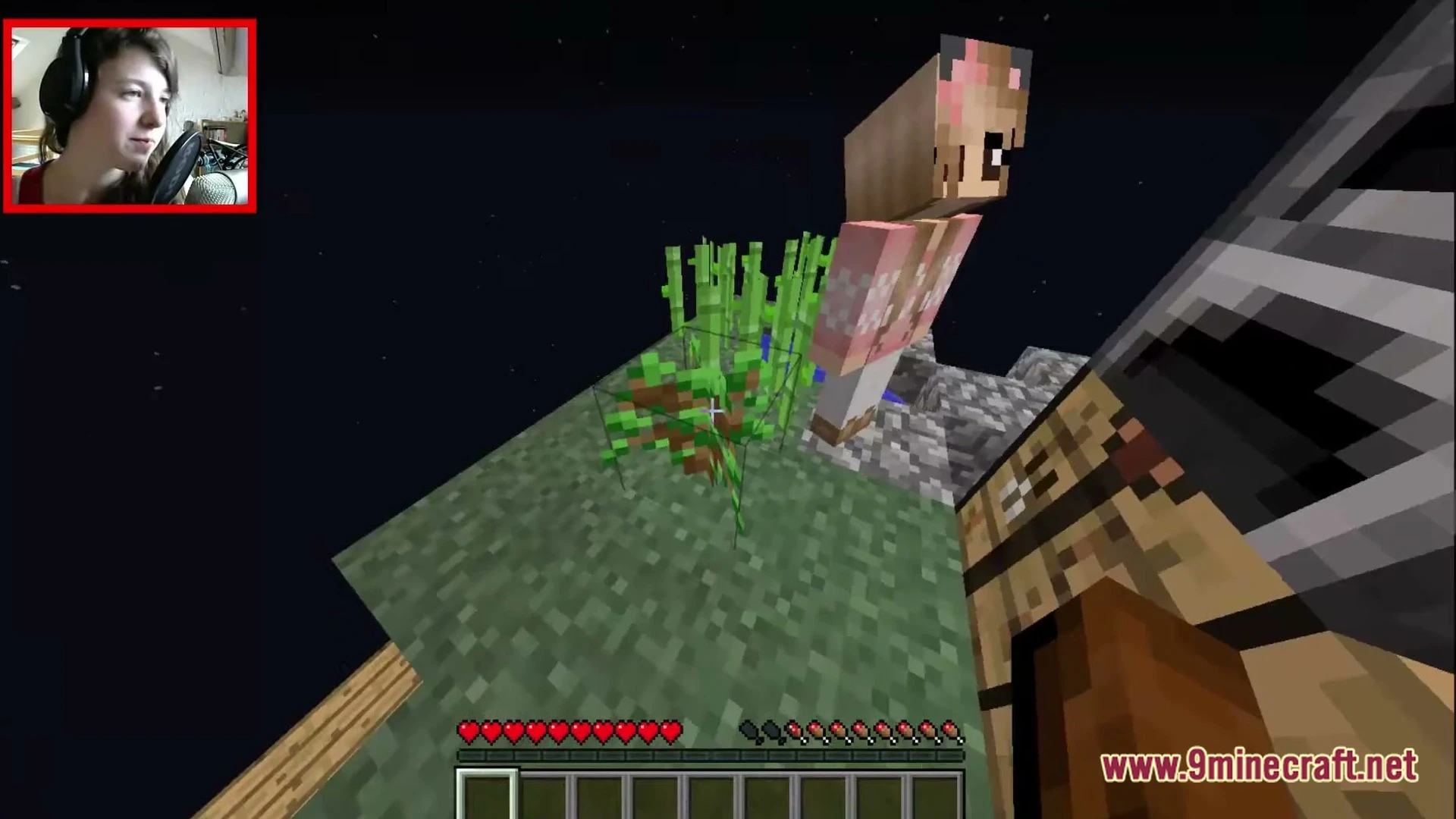Skyisland Roxi Map (26.2, 1.20.1) – Survive Across Floating Biome Islands — screenshot 3