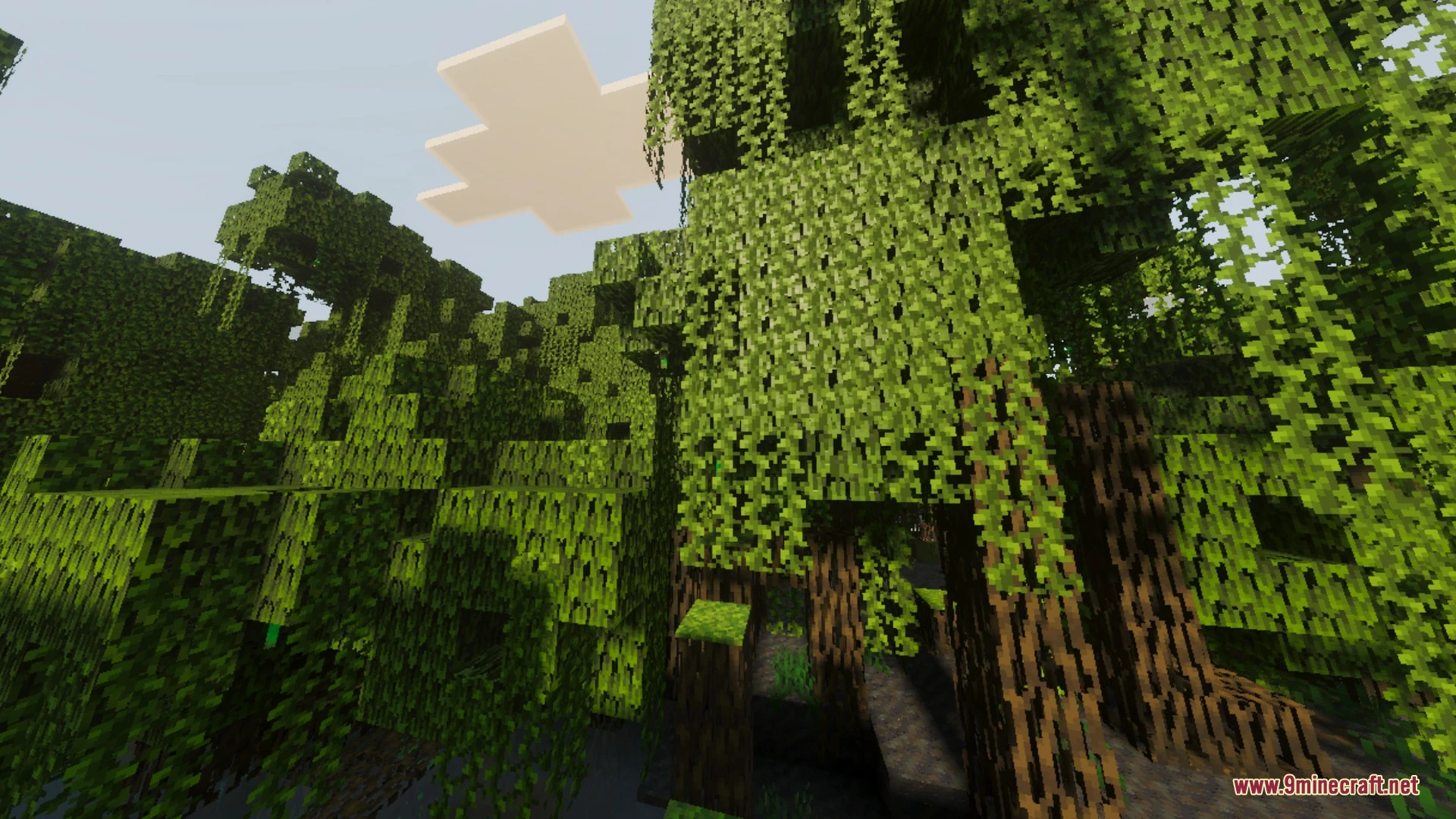 Xiao Visuals Enhanced Shader (26.x, 1.21) – Colored Lights and Animated Water — screenshot 3