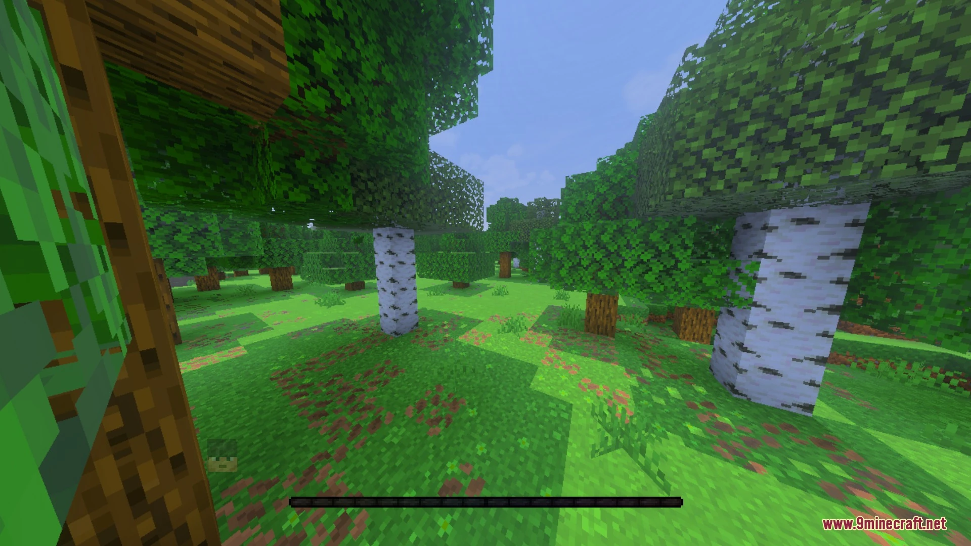 THE LAST TEXTURE Shader (26.x, 1.21) – Zero Biome Fog and Clean HUD — screenshot 3