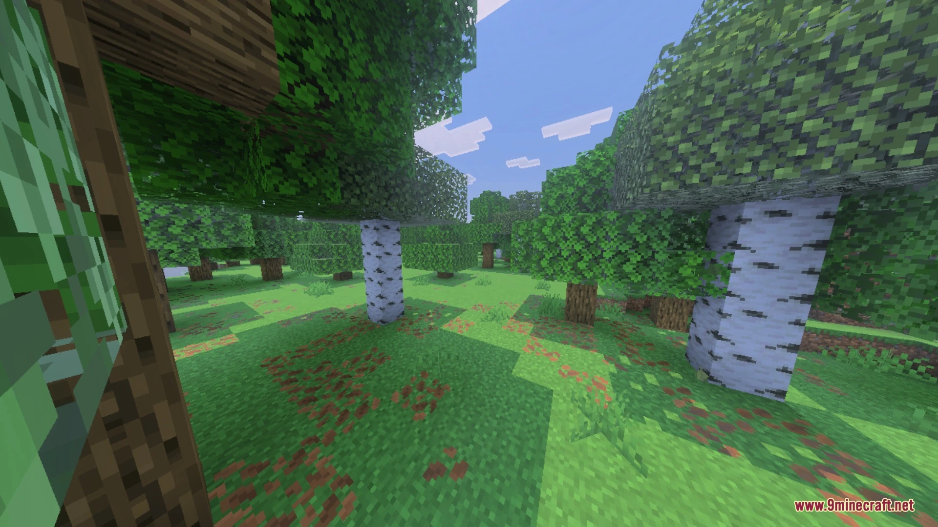 X-ray Plus+ Shader (26.x, 1.21) – Transparent Blocks and Outlined Ores on Mobile — screenshot 1
