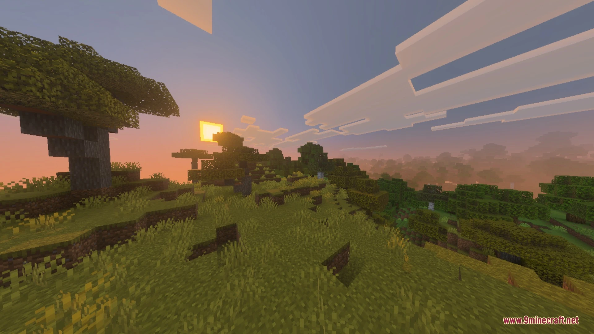 X-ray Plus+ Shader (26.x, 1.21) – Transparent Blocks and Outlined Ores on Mobile — screenshot 5