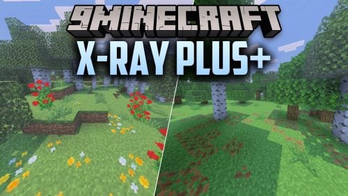 X-ray Plus+ Shader (26.x, 1.21) – Transparent Blocks and Outlined Ores on Mobile