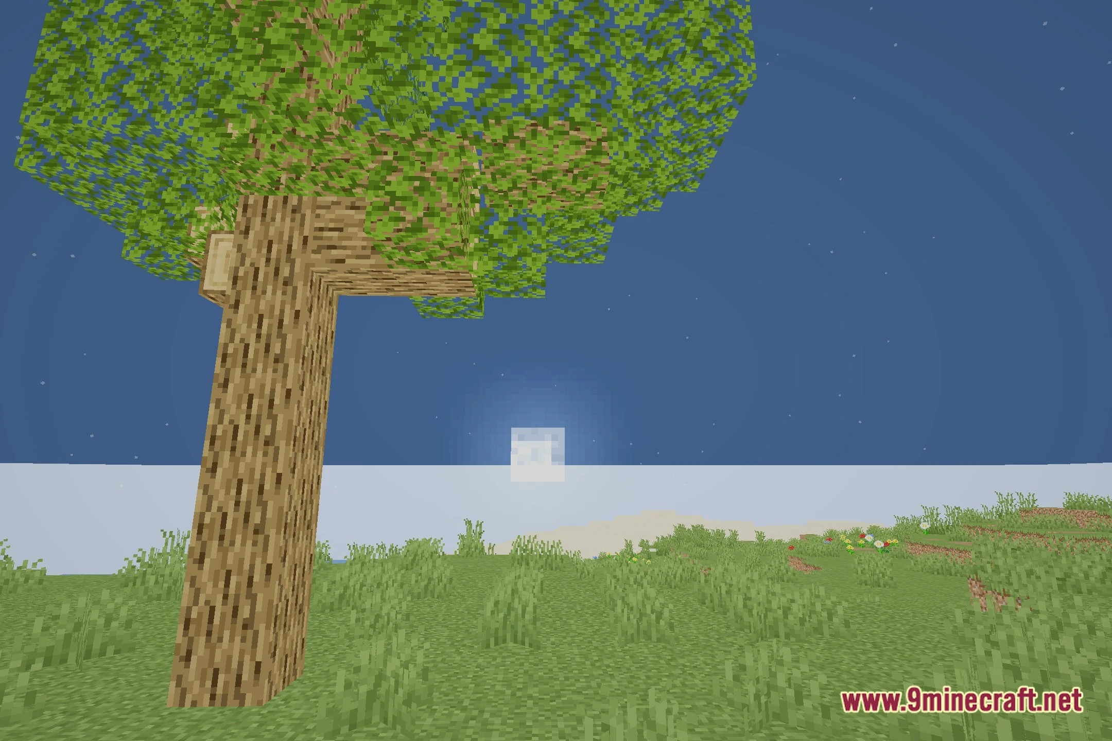 Cursed Descent Shaders Screenshot 4