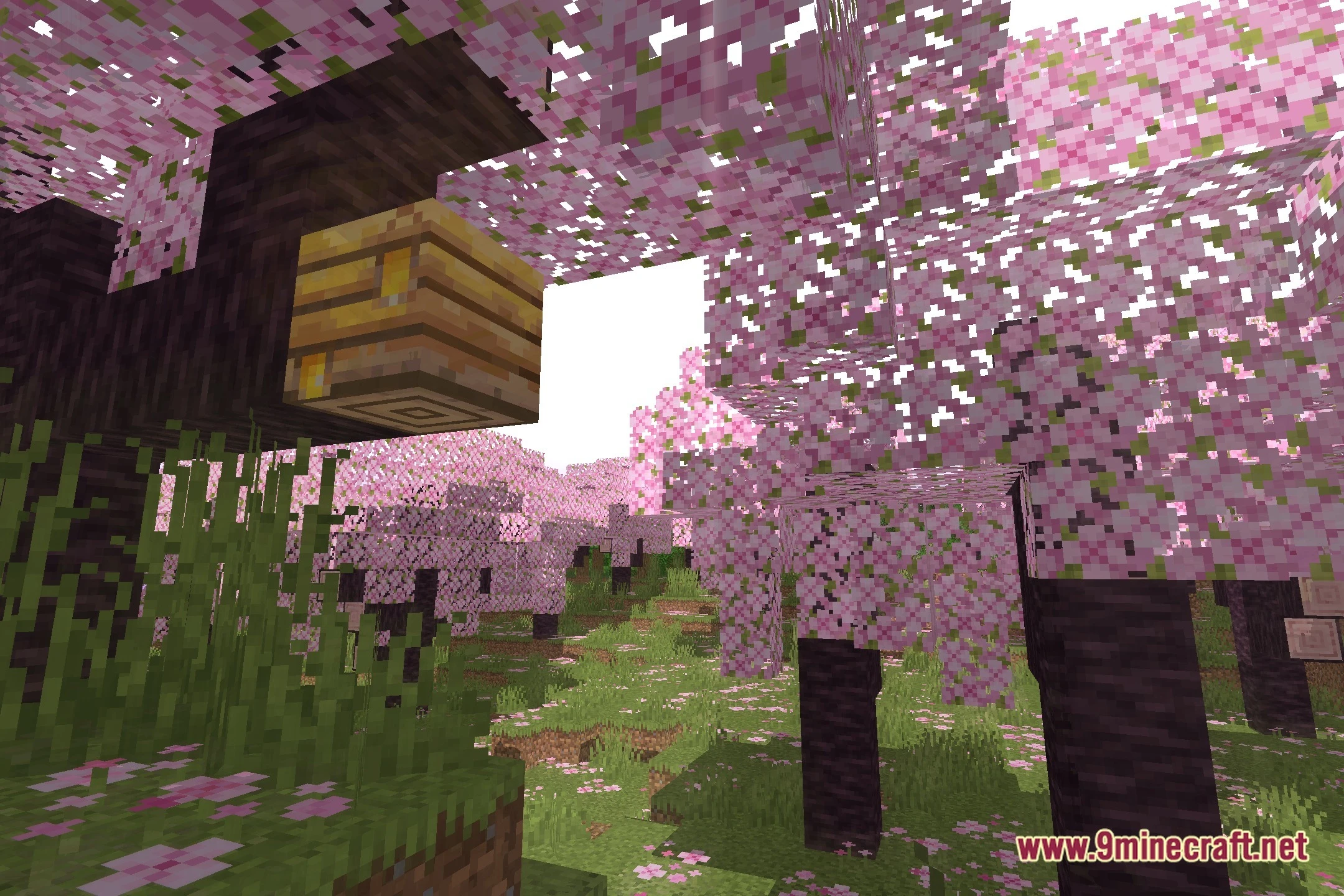 LowWorld V1 Shaders (26.3, 1.20.1) – Lightweight Lighting for Low-End PCs — screenshot 1