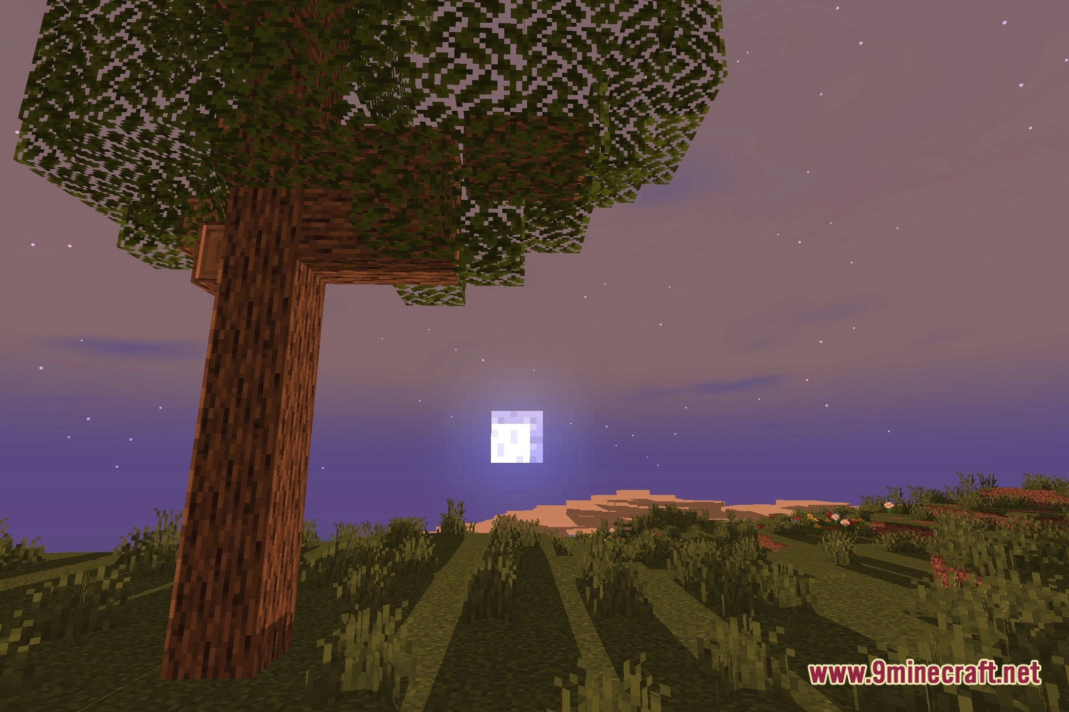 LowWorld V1 Shaders (26.3, 1.20.1) – Lightweight Lighting for Low-End PCs — screenshot 4