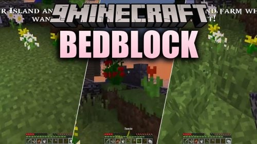 BedBlock Map