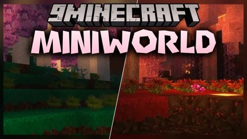 MiniWorld Model