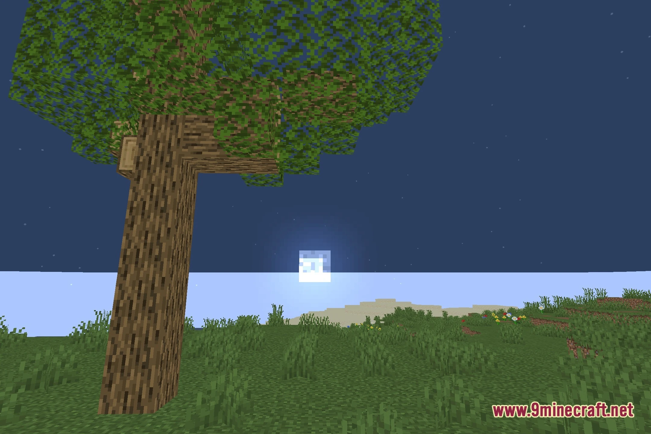 Rethinking Titan Maro's Enchanted Light MEL Shaders Screenshot 4