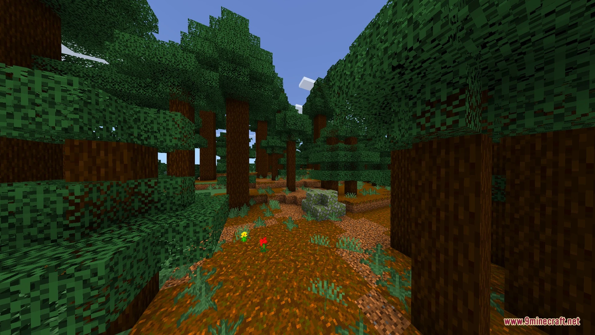SATURATION VISUAL VIBRANT VISUAL by Bedrock Shader (26.x, 1.21) — screenshot 8