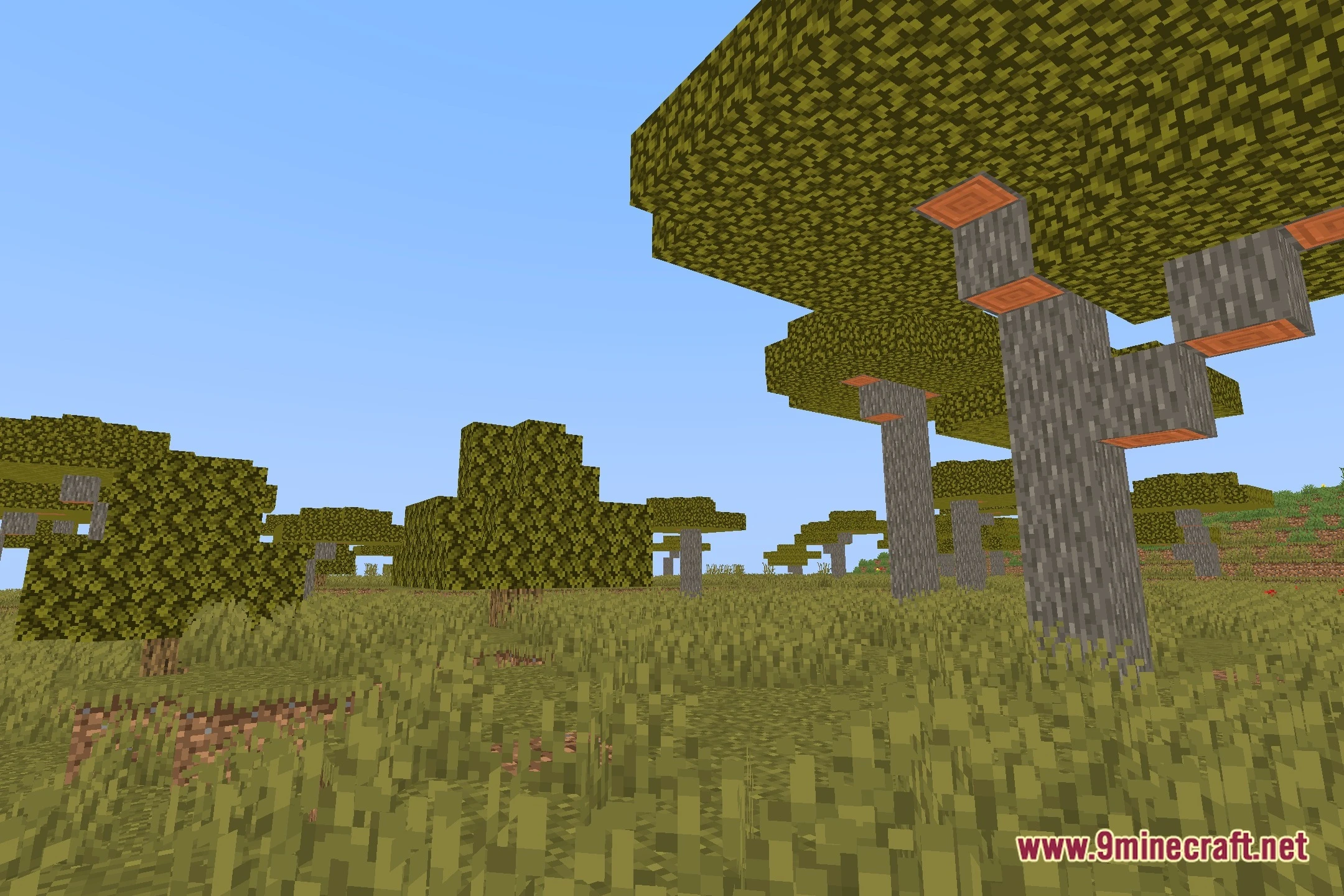 Utala Shaders Screenshot 12
