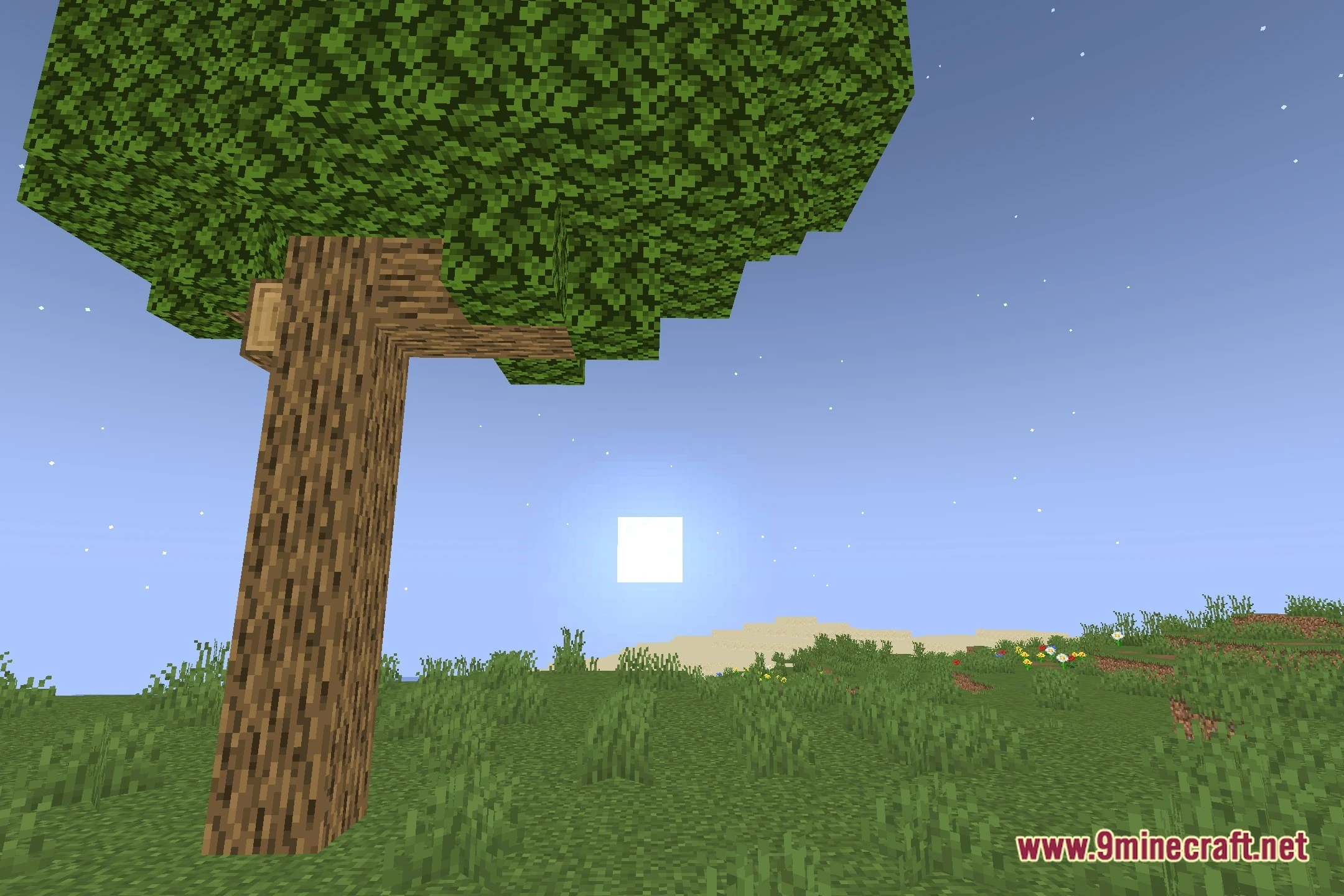 Utala Shaders (26.3, 1.20.1) – Clear Lighting for Competitive PvP Combat — screenshot 4