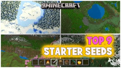 9 God-Tier Survival Starter & Exploration Seeds for Minecraft (26.3, 1.21.11) - Java & Bedrock Edition