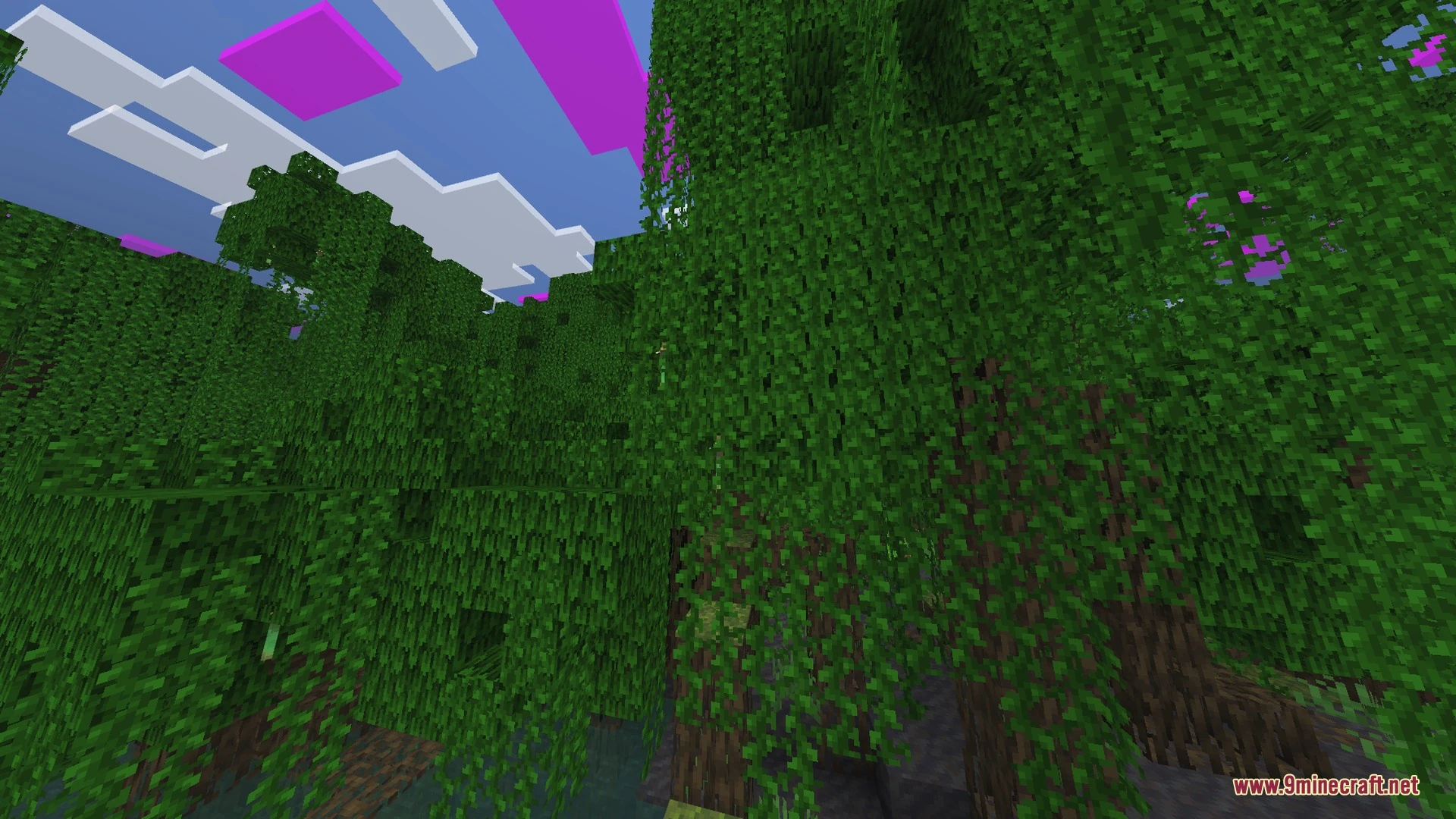 Dark Birch Shader (26.x) – Eerie Horror Lighting and Thick Fog on Android — screenshot 3