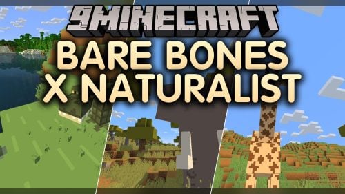 Bare Bones X Naturalist Model