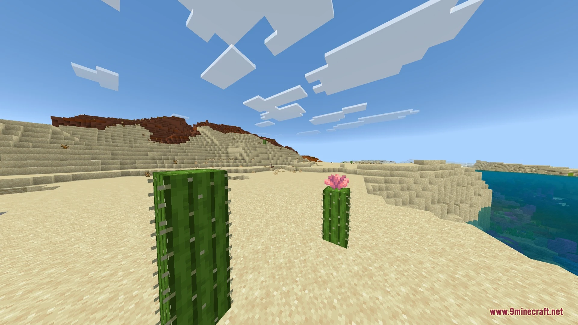 Aoffy Vibrant+ Shader (26.x, 1.21) – Realistic Sky, Clear Water — screenshot 2