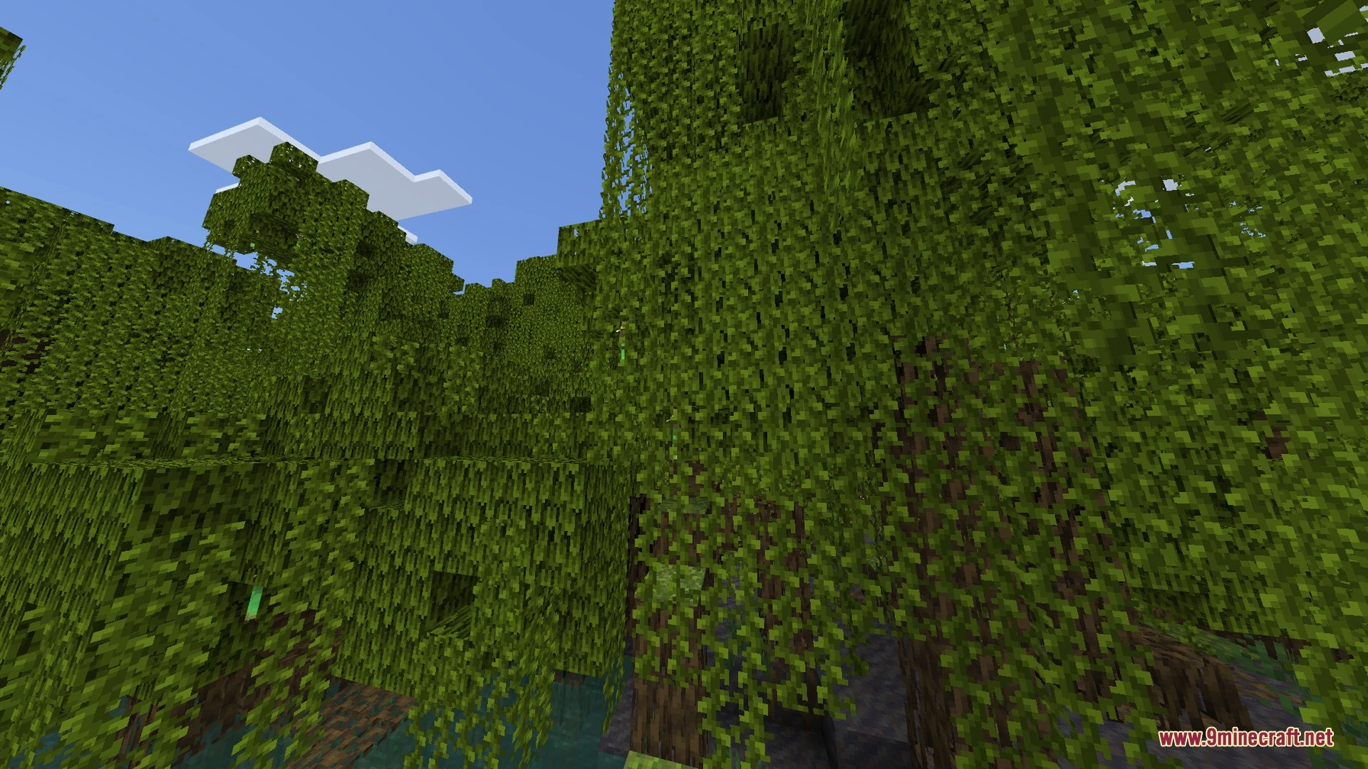 Apex Visuals Shader (26.x) – Clear Water Caustics and Realistic Sky Reflections — screenshot 3