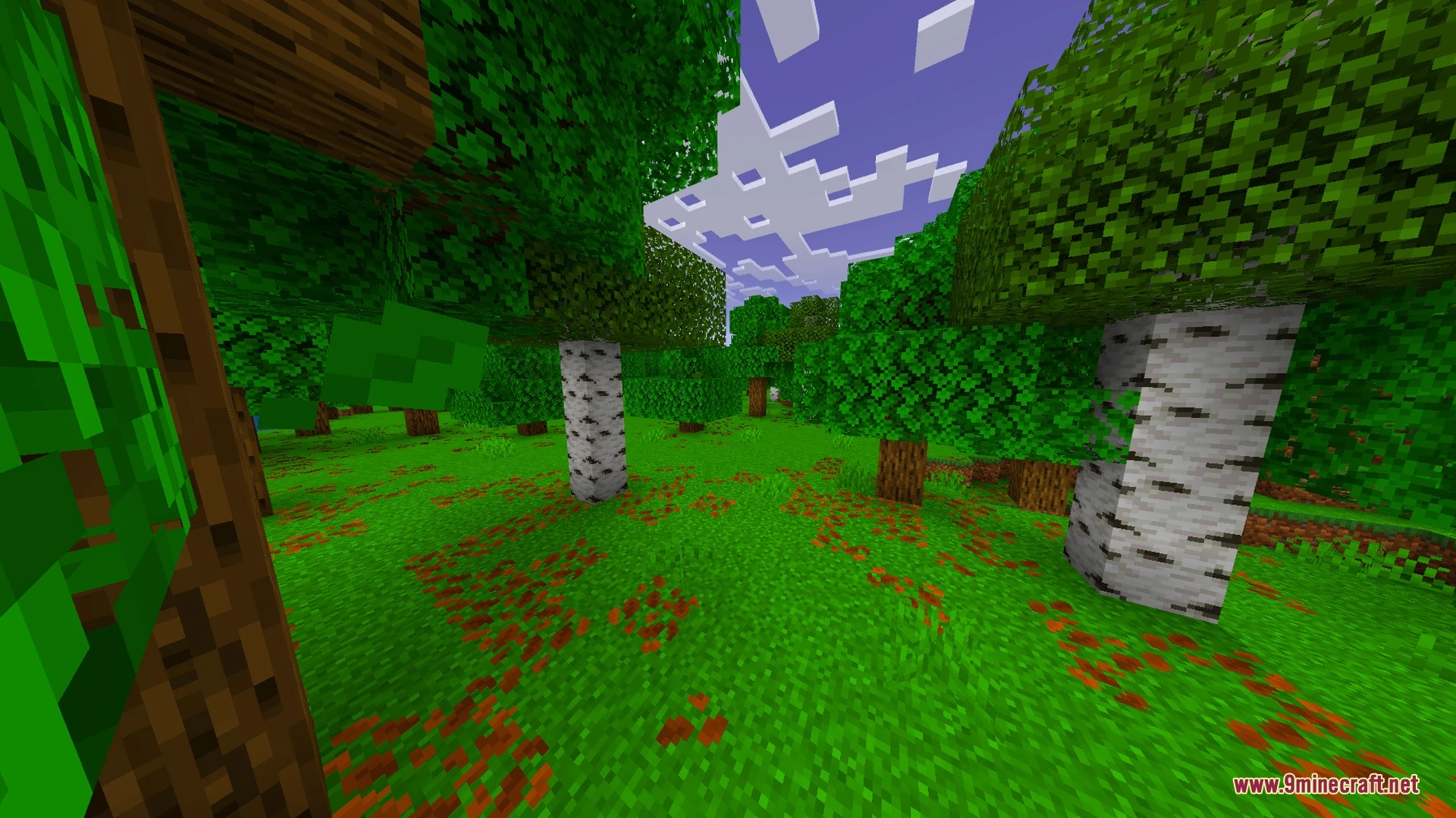 Colorful Visuals Shader (26.x) – Neon Green Grass and Deep Purple Skies Screenshot 3