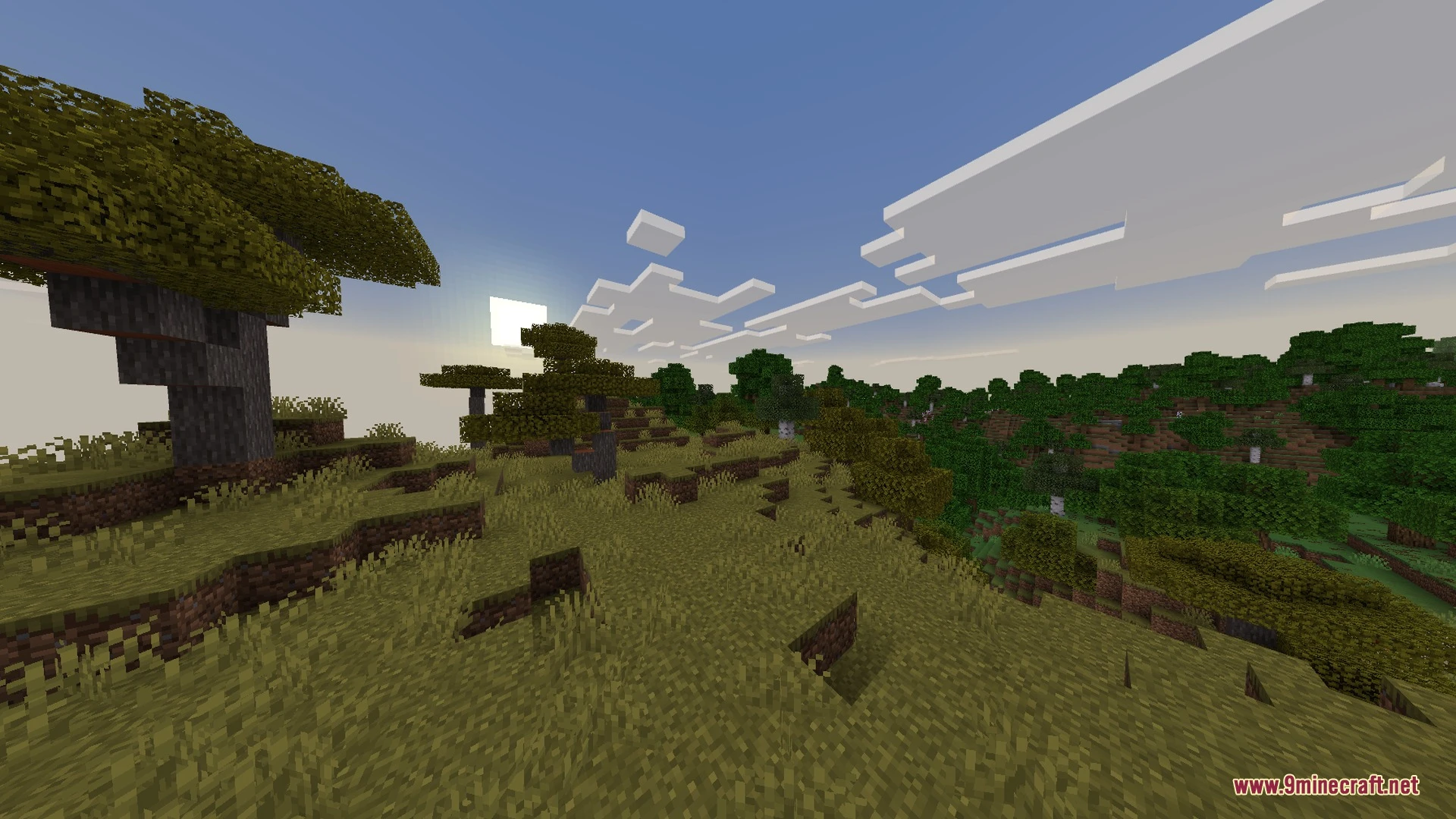 Sunglid Visuals Shader (26.x) – Warm Color Grading and Waving Foliage Screenshot 6