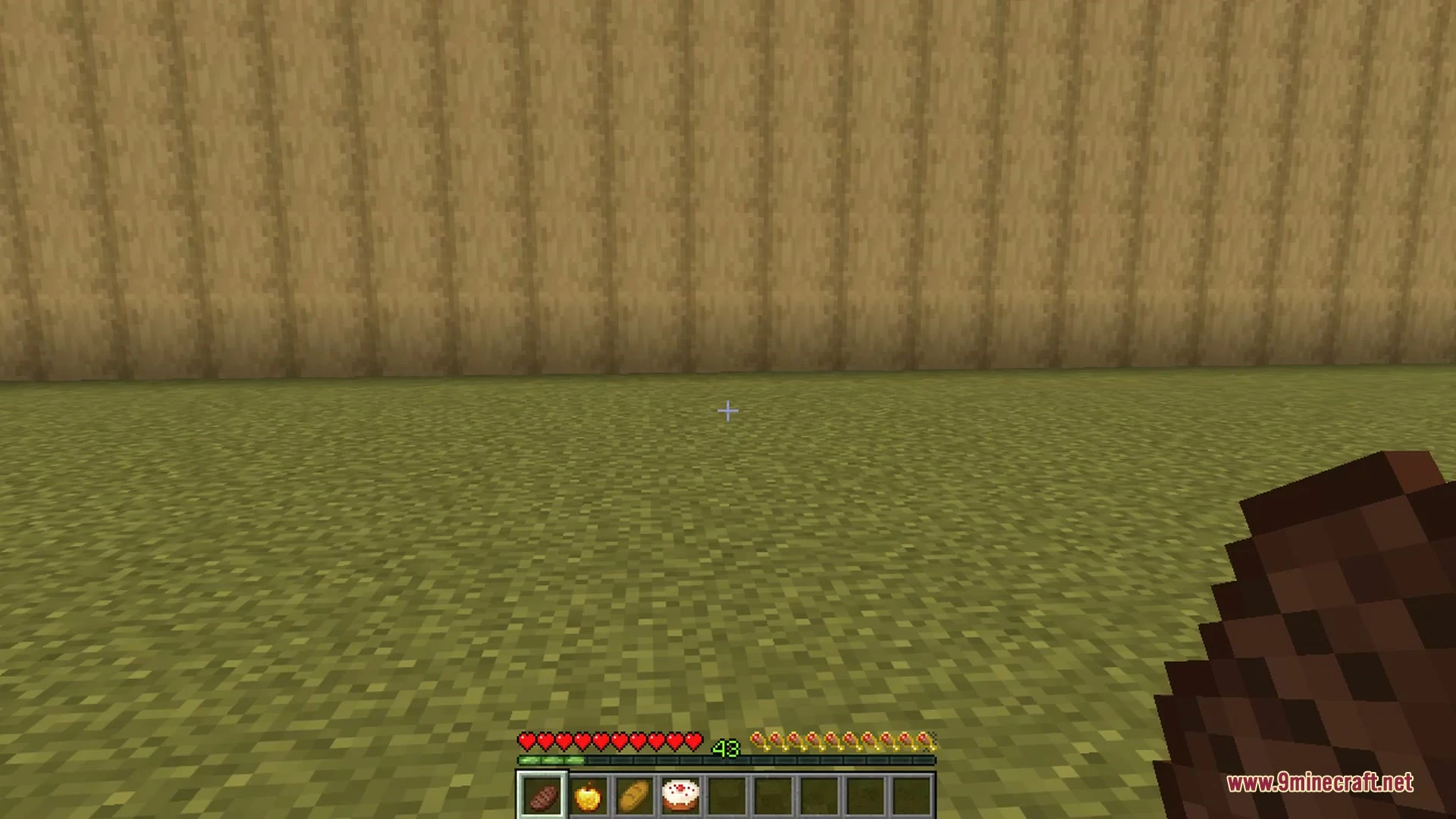 Better Food & Hunger HUD 9minecraft Mod (26.3, 1.20.1) — screenshot 2