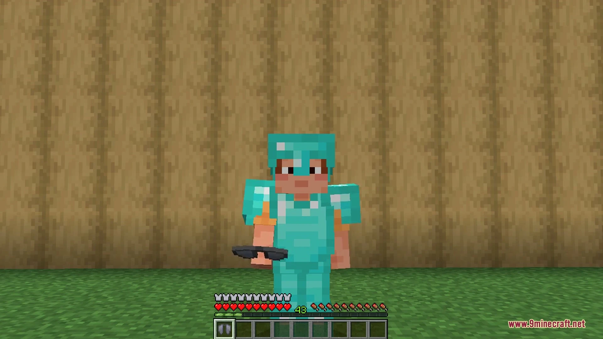 Elytra Slot 9Minecraft Mod screenshot 4
