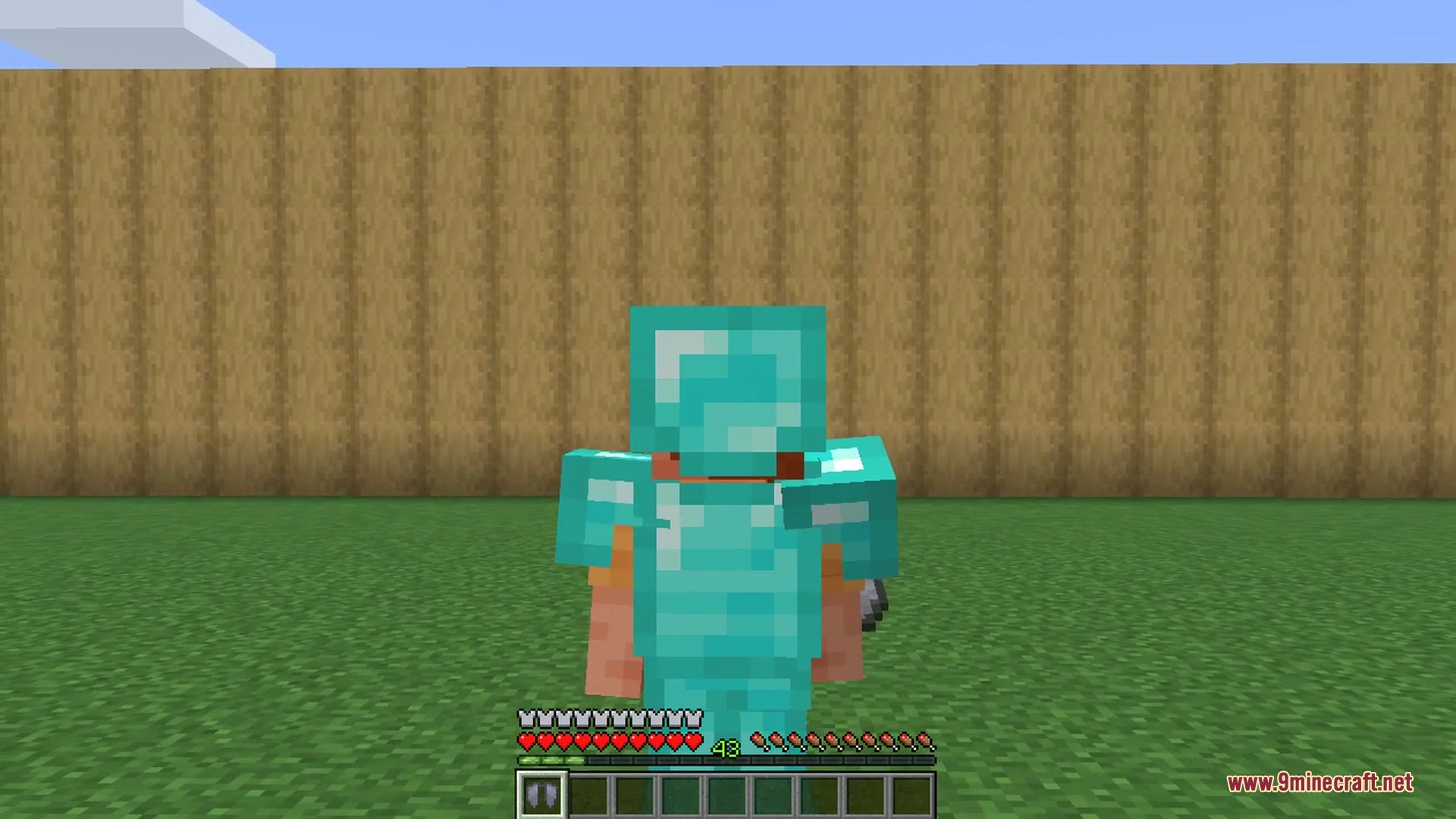 Elytra Slot 9Minecraft Mod screenshot 8