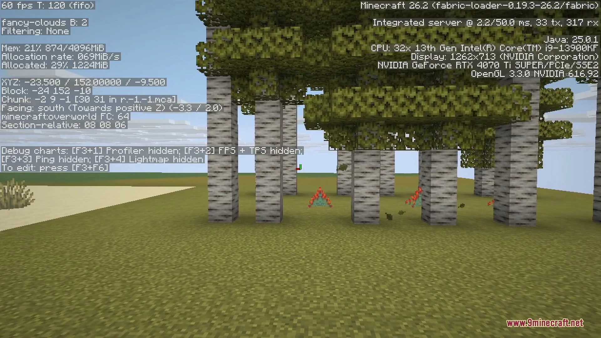 Dry grass blocks and tall vegetation in a vast prairie biome
