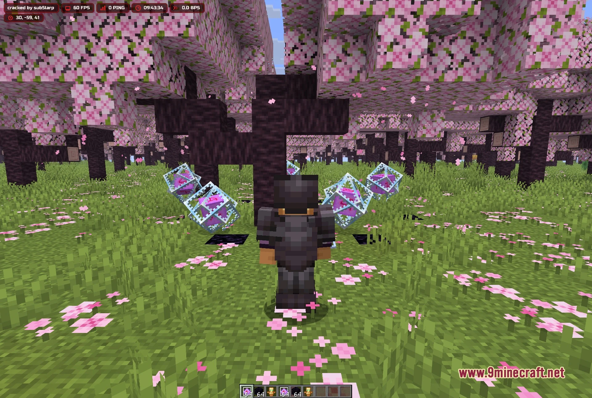 Blood v3.1 Client Mod Screenshot 3 Third-person view of the player in netherite armour among the cherry trees