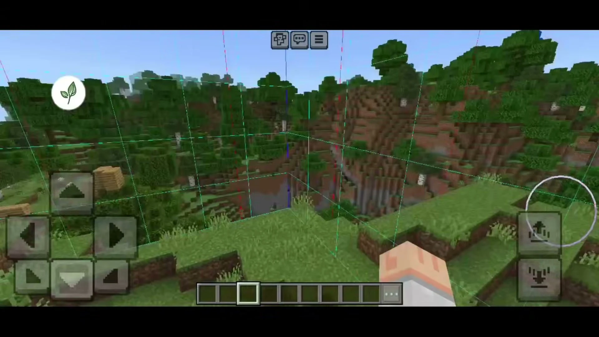 BedrockTools Screenshot 3 Chunk Border module drawing chunk grid lines over a forest