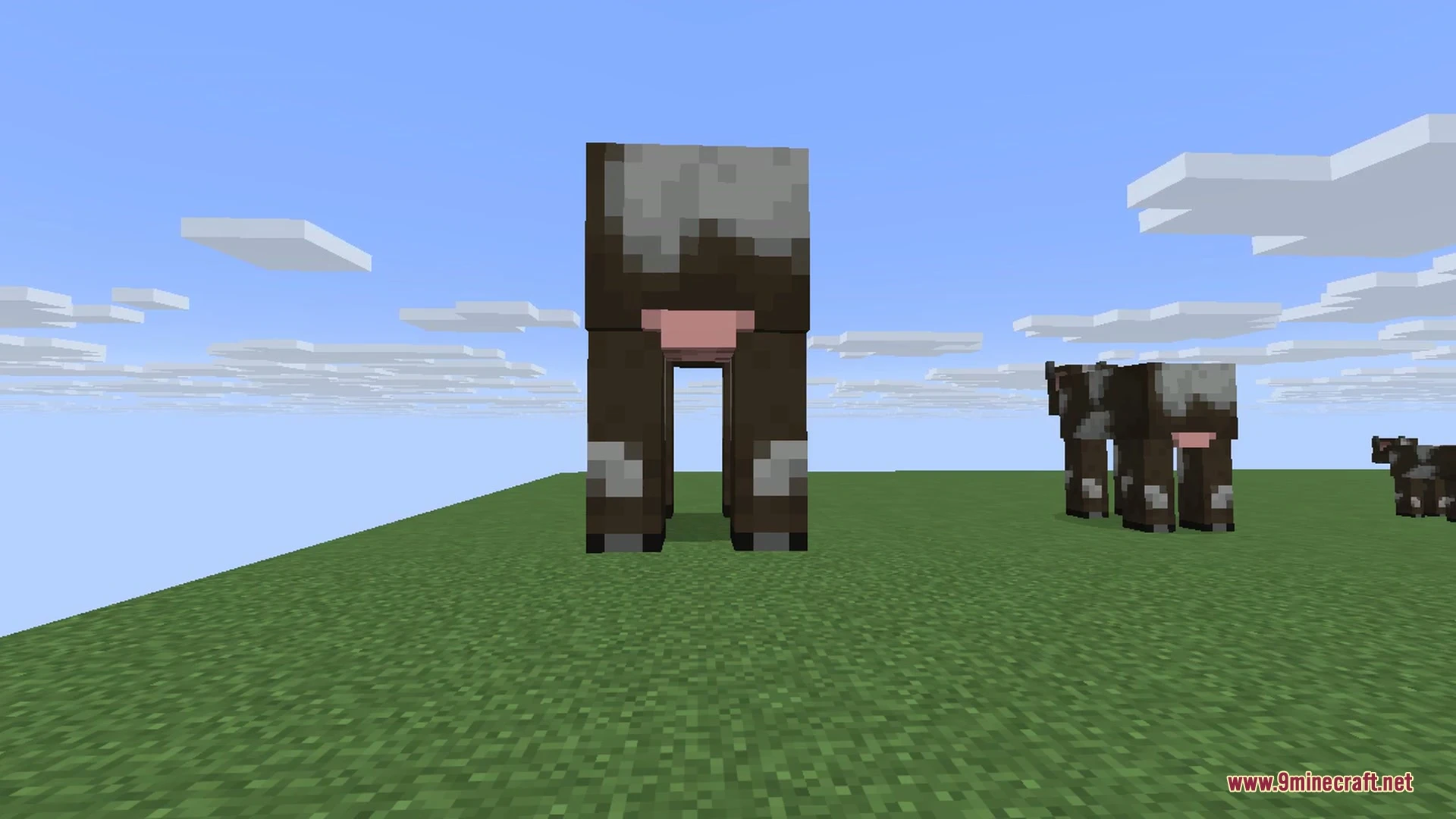 The same cow shown at a range of sizes, from giant down to tiny