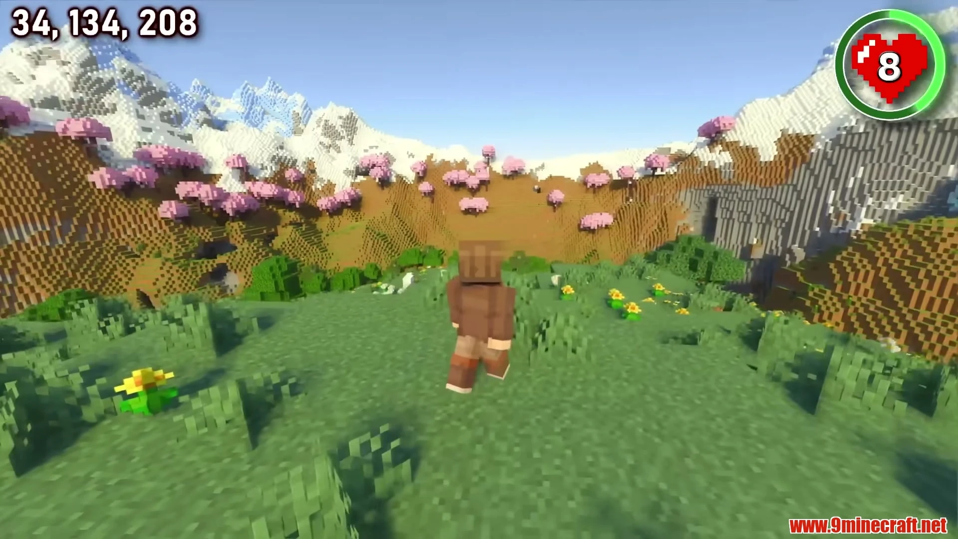 Cherry Blossom Ringed Meadow Hill Sanctuary - Minecraft 26.3 Seed 8700210007953256913 View 2