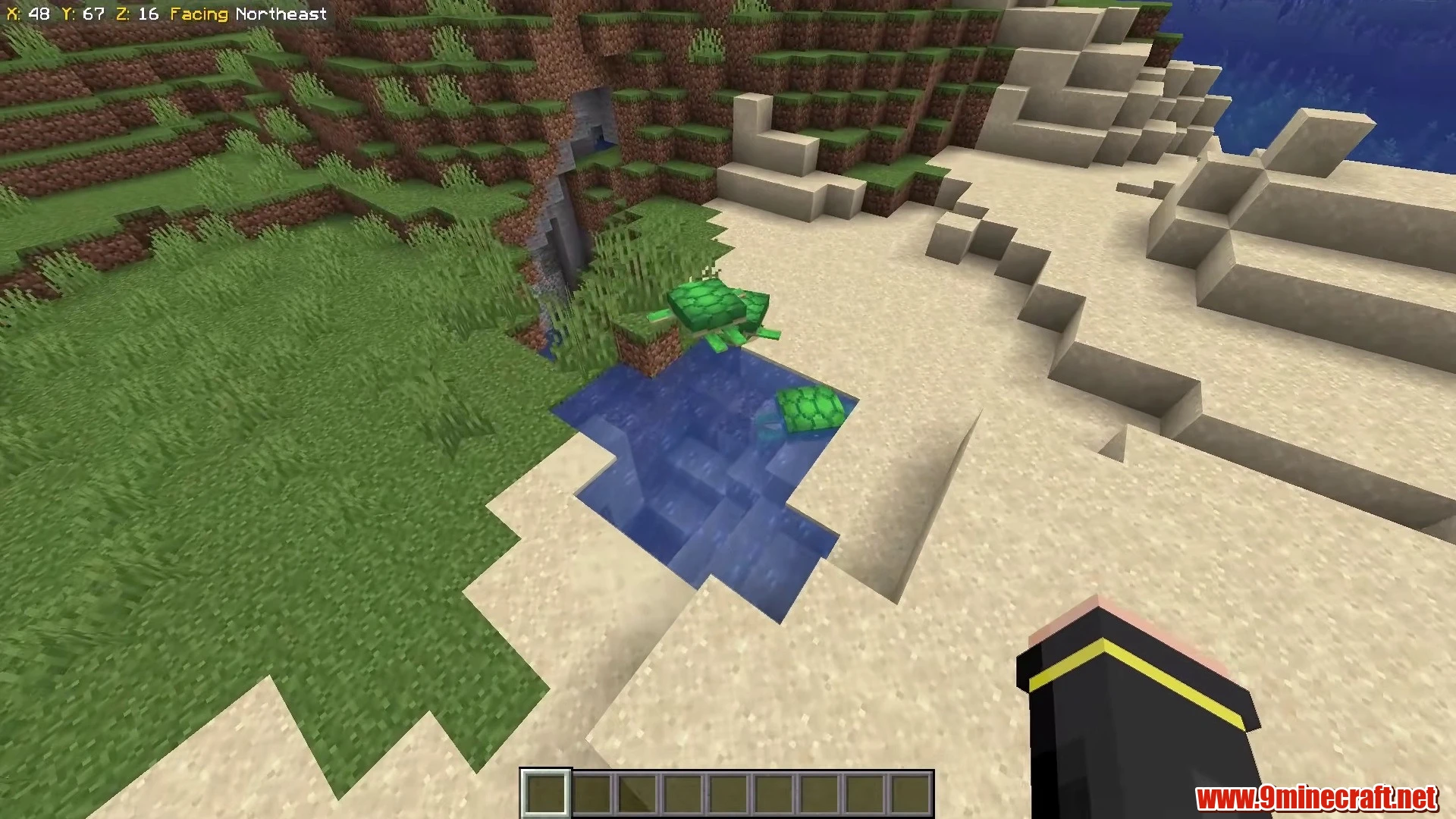 Sandy Beach & Plains Meadow - Minecraft 26.3 Island Seed 3254568905 view 3