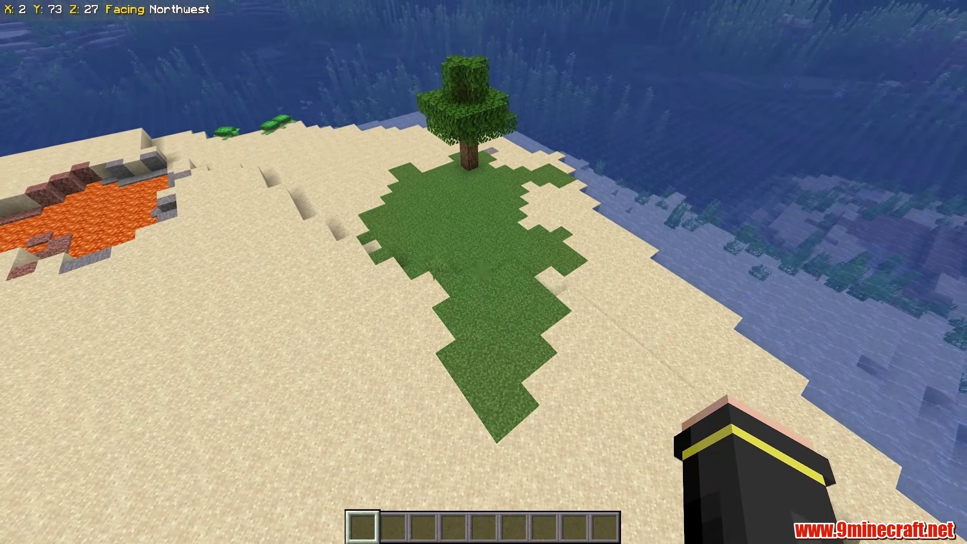 One Tree Micro Island - Minecraft 26.3 Island Seed 3852527794 view 2