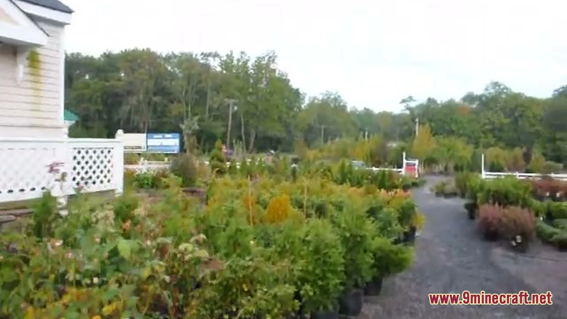 Japanese Maples Acer Palmatum Map (26.3, 1.20.1) – Tranquil Autumn Garden Walk — screenshot 4