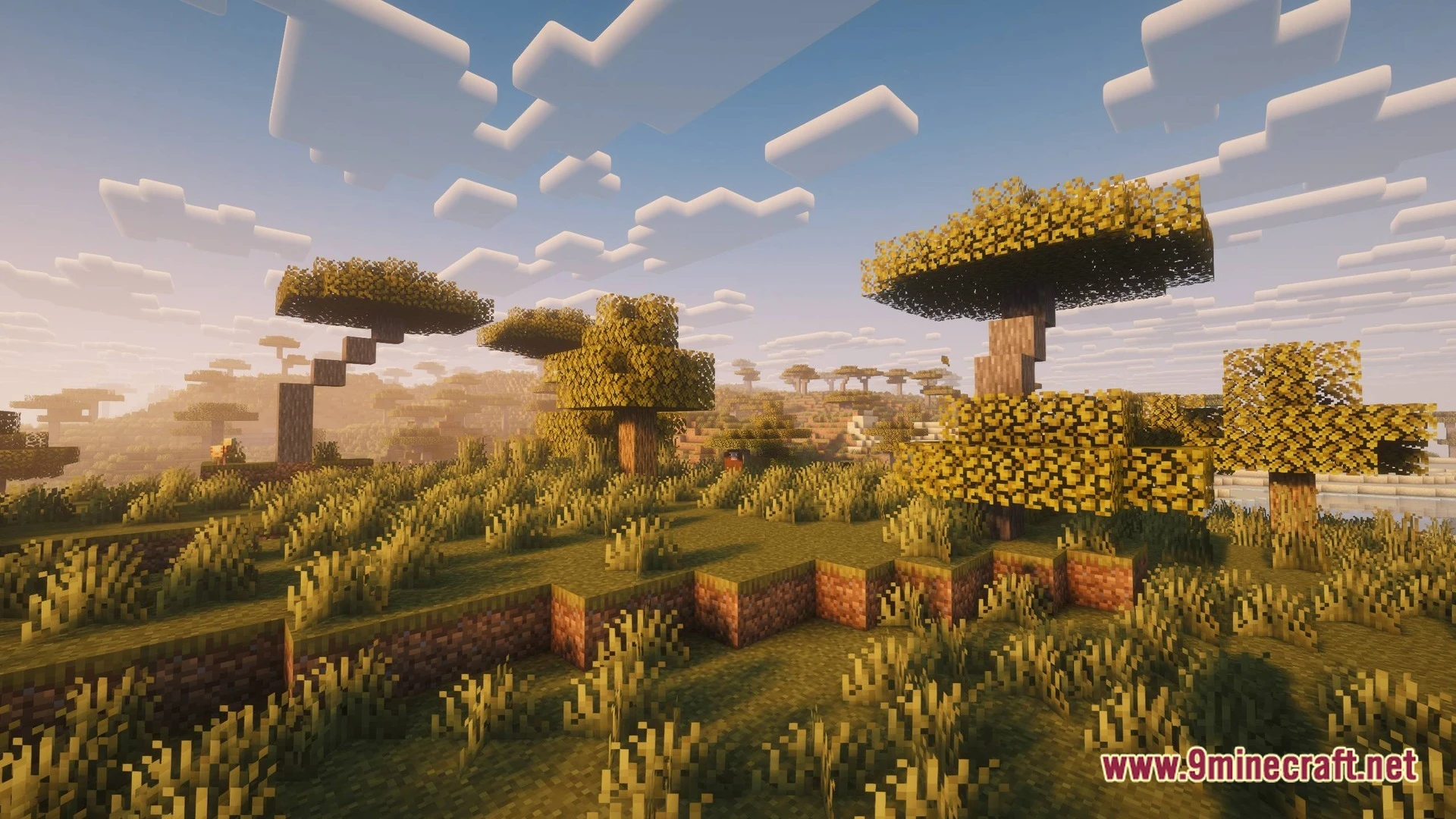 Vanilla Lightweight Beta Modpack Screenshot 5 Vanilla Lightweight Beta Modpack Screenshot 5