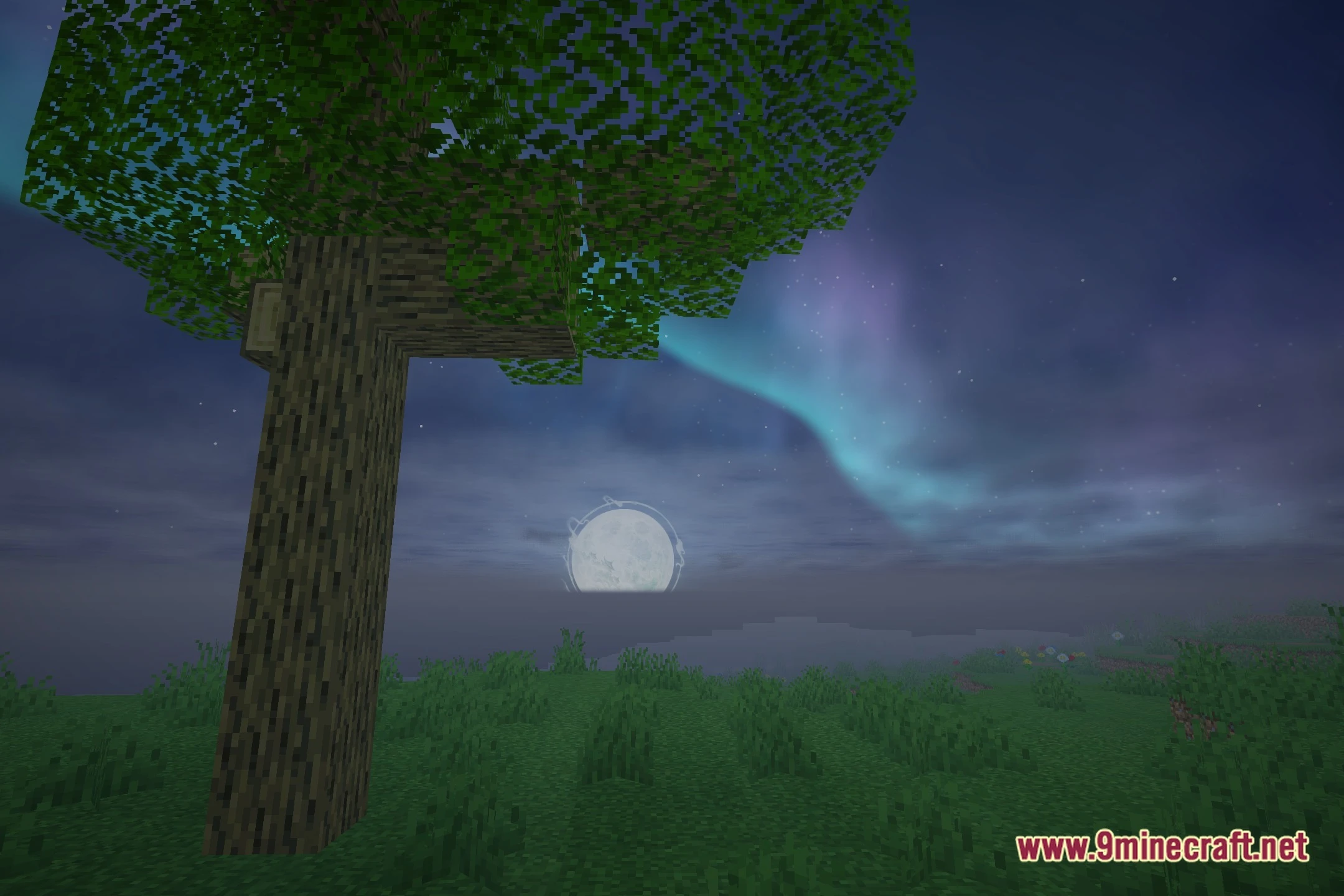 YunMeng Shaders Screenshot 4
