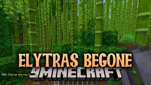 Elytras Begone Data Pack (1.21.11, 1.21.1) – Keep Your Survival Adventures