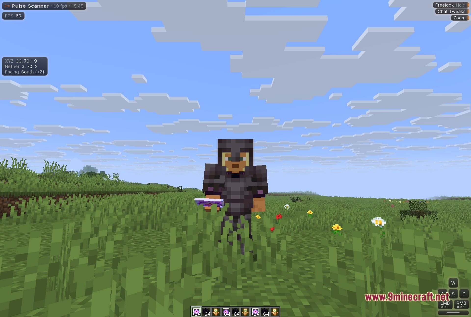 Pulse Scanner Mod (1.21.11) – Hunt Hidden Bases Across Anarchy Servers — screenshot 4