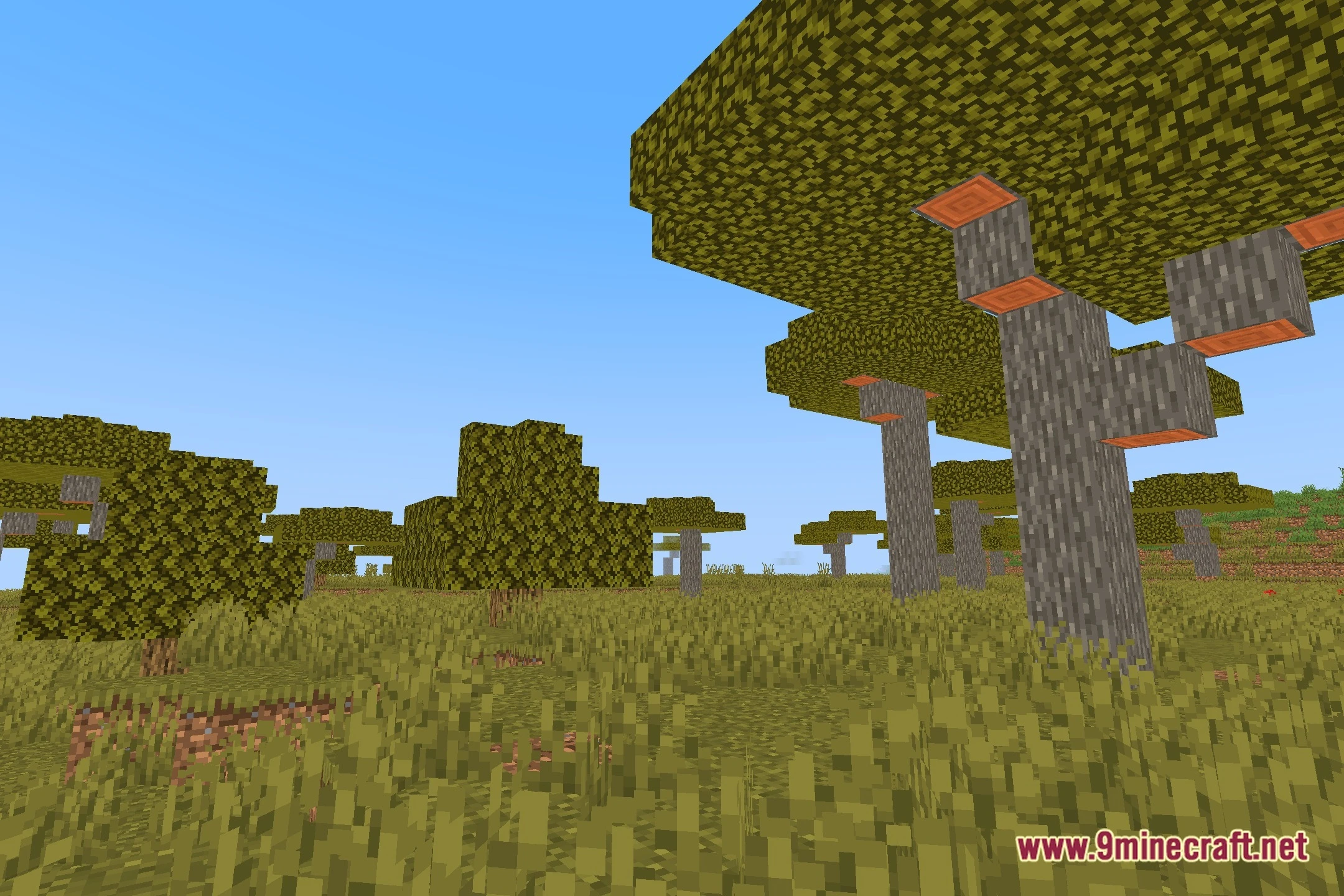 Low Hadal Shaders Screenshot 12