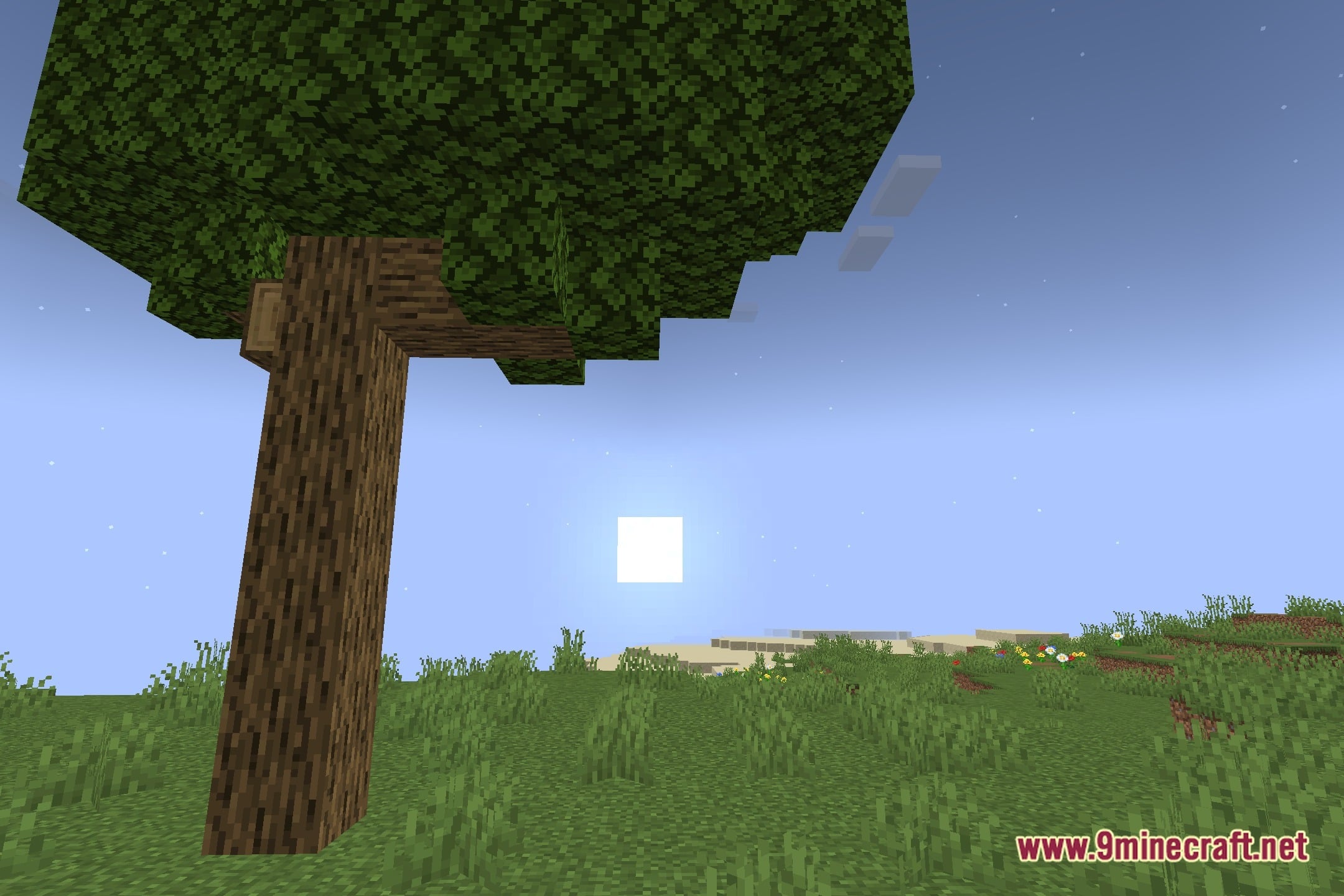 Reshady Shaders Screenshot 4