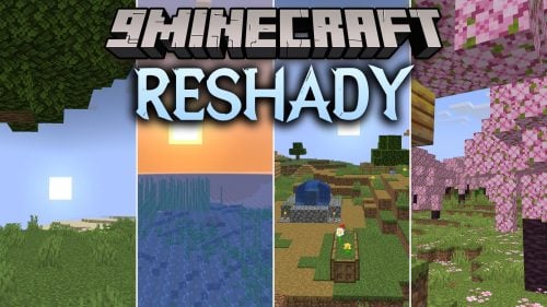 Reshady Shaders