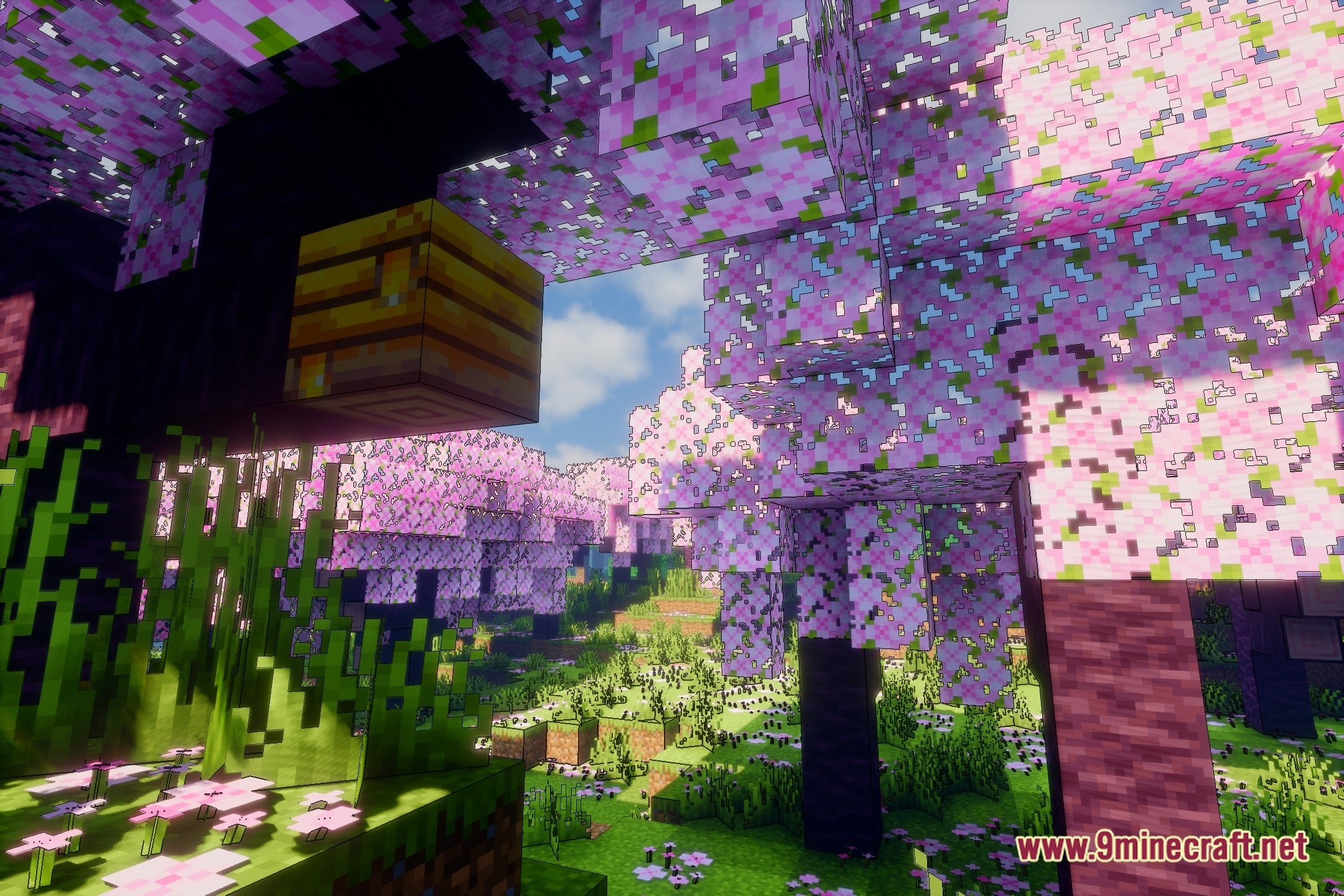 Evelite Toon Shaders (26.3, 1.20.1) – Anime Visuals with Realistic Shading — screenshot 1