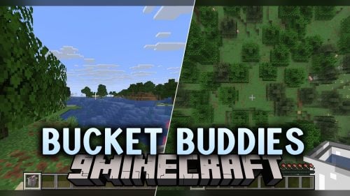 Bucket Buddies Model