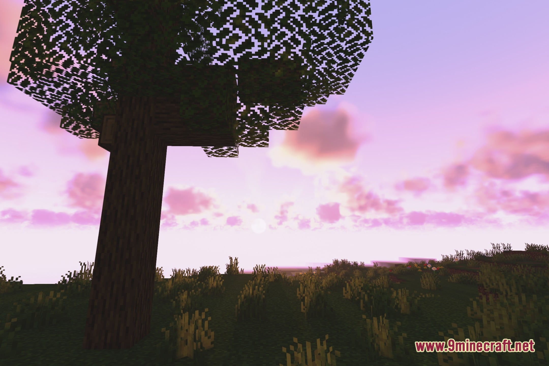 Friendly Shaders Screenshot 4