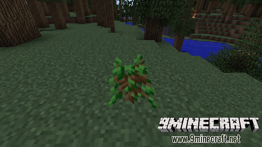 Auto Sapling Mod 1.11.2, 1.10.2 (Saplings Automatically Plant Themselves) 2